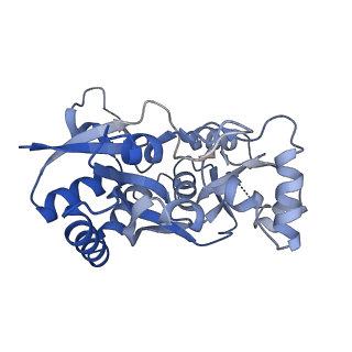 29371_8fpy_C_v1-1
LBD conformation 2 (LBDconf2) of GluA2 flip Q isoform of AMPA receptor in complex with gain-of-function TARP gamma-2, with 500mM NaCl, 330uM CTZ, and 100mM glutamate (Open-Na610)