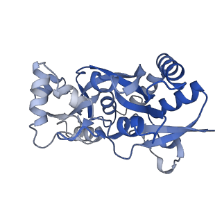 29372_8fpz_A_v1-1
LBD conformation 3 (LBDconf3) of GluA2 flip Q isoform of AMPA receptor in complex with gain-of-function TARP gamma-2, with 500mM NaCl, 330uM CTZ, and 100mM glutamate (Open-Na610)