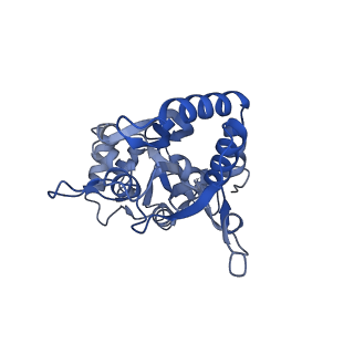 29372_8fpz_B_v1-1
LBD conformation 3 (LBDconf3) of GluA2 flip Q isoform of AMPA receptor in complex with gain-of-function TARP gamma-2, with 500mM NaCl, 330uM CTZ, and 100mM glutamate (Open-Na610)