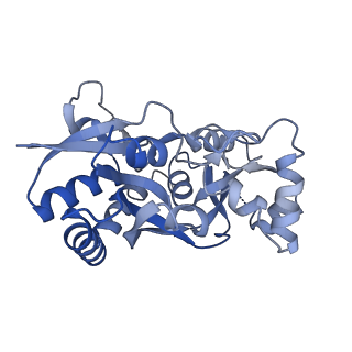 29372_8fpz_C_v1-1
LBD conformation 3 (LBDconf3) of GluA2 flip Q isoform of AMPA receptor in complex with gain-of-function TARP gamma-2, with 500mM NaCl, 330uM CTZ, and 100mM glutamate (Open-Na610)