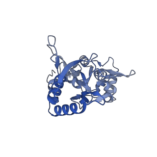 29372_8fpz_D_v1-1
LBD conformation 3 (LBDconf3) of GluA2 flip Q isoform of AMPA receptor in complex with gain-of-function TARP gamma-2, with 500mM NaCl, 330uM CTZ, and 100mM glutamate (Open-Na610)