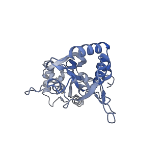 29375_8fq2_B_v1-1
LBD conformation 1 (LBDconf1) of GluA2 flip Q isoform N619K mutant of AMPA receptor in complex with gain-of-function TARP gamma-2, with 10mM CaCl2, 150mM NaCl, 1mM MgCl2, 330uM CTZ, and 100mM glutamate (Open-CaNaMg/N619K)