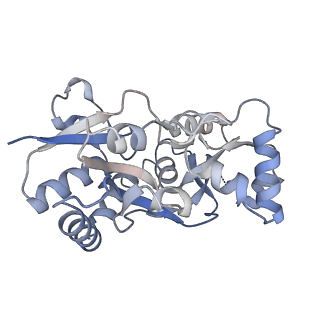 29375_8fq2_C_v1-1
LBD conformation 1 (LBDconf1) of GluA2 flip Q isoform N619K mutant of AMPA receptor in complex with gain-of-function TARP gamma-2, with 10mM CaCl2, 150mM NaCl, 1mM MgCl2, 330uM CTZ, and 100mM glutamate (Open-CaNaMg/N619K)