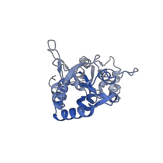 29375_8fq2_D_v1-1
LBD conformation 1 (LBDconf1) of GluA2 flip Q isoform N619K mutant of AMPA receptor in complex with gain-of-function TARP gamma-2, with 10mM CaCl2, 150mM NaCl, 1mM MgCl2, 330uM CTZ, and 100mM glutamate (Open-CaNaMg/N619K)