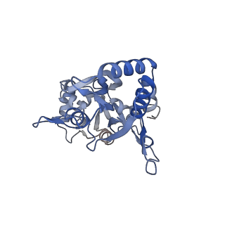 29376_8fq3_B_v1-1
LBD conformation 2 (LBDconf2) of GluA2 flip Q isoform N619K mutant of AMPA receptor in complex with gain-of-function TARP gamma-2, with 10mM CaCl2, 150mM NaCl, 1mM MgCl2, 330uM CTZ, and 100mM glutamate (Open-CaNaMg/N619K)