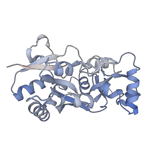 29376_8fq3_C_v1-1
LBD conformation 2 (LBDconf2) of GluA2 flip Q isoform N619K mutant of AMPA receptor in complex with gain-of-function TARP gamma-2, with 10mM CaCl2, 150mM NaCl, 1mM MgCl2, 330uM CTZ, and 100mM glutamate (Open-CaNaMg/N619K)