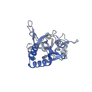 29376_8fq3_D_v1-1
LBD conformation 2 (LBDconf2) of GluA2 flip Q isoform N619K mutant of AMPA receptor in complex with gain-of-function TARP gamma-2, with 10mM CaCl2, 150mM NaCl, 1mM MgCl2, 330uM CTZ, and 100mM glutamate (Open-CaNaMg/N619K)