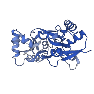 29379_8fq6_A_v1-1
LBD of GluA2 flip Q isoform of AMPA receptor in complex with gain-of-function TARP gamma2, with 150mM CaCl2, 330uM CTZ, and 100mM L-glutamate (Open-Ca150)