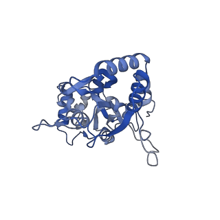 29379_8fq6_B_v1-1
LBD of GluA2 flip Q isoform of AMPA receptor in complex with gain-of-function TARP gamma2, with 150mM CaCl2, 330uM CTZ, and 100mM L-glutamate (Open-Ca150)