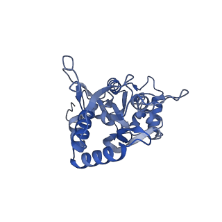 29379_8fq6_D_v1-1
LBD of GluA2 flip Q isoform of AMPA receptor in complex with gain-of-function TARP gamma2, with 150mM CaCl2, 330uM CTZ, and 100mM L-glutamate (Open-Ca150)