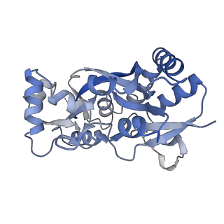 29380_8fq8_A_v1-2
LBD conformation 1 (LBDconf1) of GluA2 flip Q isoform of AMPA receptor in complex with gain-of-function TARP gamma2, with 140mM NMDG, 330uM CTZ, and 100mM L-glutamate (Open-Na110)