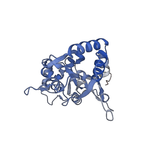 29380_8fq8_B_v1-2
LBD conformation 1 (LBDconf1) of GluA2 flip Q isoform of AMPA receptor in complex with gain-of-function TARP gamma2, with 140mM NMDG, 330uM CTZ, and 100mM L-glutamate (Open-Na110)