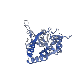 29380_8fq8_D_v1-2
LBD conformation 1 (LBDconf1) of GluA2 flip Q isoform of AMPA receptor in complex with gain-of-function TARP gamma2, with 140mM NMDG, 330uM CTZ, and 100mM L-glutamate (Open-Na110)