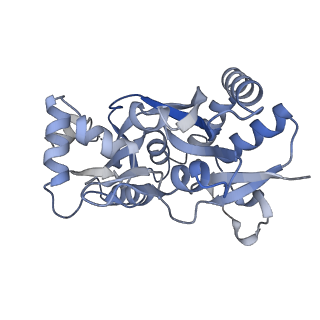 29381_8fqa_A_v1-1
LBD conformation 2 (LBDconf2) of GluA2 flip Q isoform of AMPA receptor in complex with gain-of-function TARP gamma2, with 140mM NMDG, 330uM CTZ, and 100mM L-glutamate (Open-Na110)