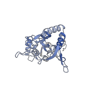 29381_8fqa_B_v1-1
LBD conformation 2 (LBDconf2) of GluA2 flip Q isoform of AMPA receptor in complex with gain-of-function TARP gamma2, with 140mM NMDG, 330uM CTZ, and 100mM L-glutamate (Open-Na110)