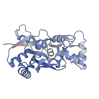 29381_8fqa_C_v1-1
LBD conformation 2 (LBDconf2) of GluA2 flip Q isoform of AMPA receptor in complex with gain-of-function TARP gamma2, with 140mM NMDG, 330uM CTZ, and 100mM L-glutamate (Open-Na110)