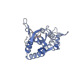 29381_8fqa_D_v1-1
LBD conformation 2 (LBDconf2) of GluA2 flip Q isoform of AMPA receptor in complex with gain-of-function TARP gamma2, with 140mM NMDG, 330uM CTZ, and 100mM L-glutamate (Open-Na110)