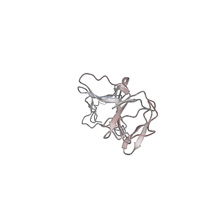 29383_8fqc_A_v1-0
Structure of baseplate with receptor binding complex of Agrobacterium phage Milano