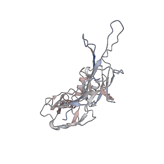 29383_8fqc_C1_v1-1
Structure of baseplate with receptor binding complex of Agrobacterium phage Milano