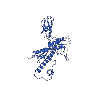 29383_8fqc_F1_v1-0
Structure of baseplate with receptor binding complex of Agrobacterium phage Milano