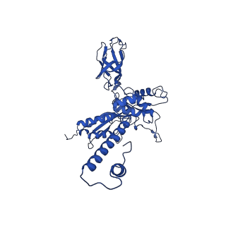 29383_8fqc_F1_v1-1
Structure of baseplate with receptor binding complex of Agrobacterium phage Milano