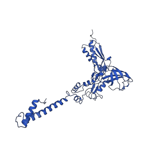 29383_8fqc_G1_v1-0
Structure of baseplate with receptor binding complex of Agrobacterium phage Milano