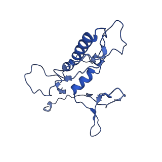 29383_8fqc_H1_v1-1
Structure of baseplate with receptor binding complex of Agrobacterium phage Milano