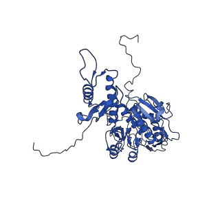 29383_8fqc_I1_v1-0
Structure of baseplate with receptor binding complex of Agrobacterium phage Milano