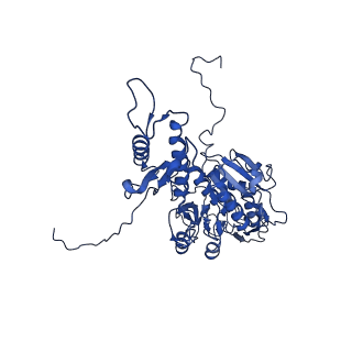 29383_8fqc_I1_v1-1
Structure of baseplate with receptor binding complex of Agrobacterium phage Milano