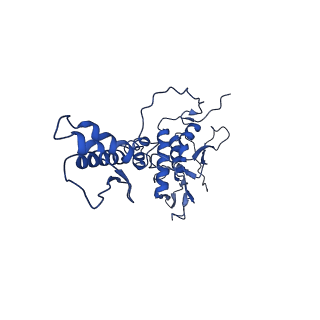 29383_8fqc_J1_v1-0
Structure of baseplate with receptor binding complex of Agrobacterium phage Milano