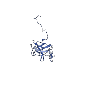 29383_8fqc_P1_v1-0
Structure of baseplate with receptor binding complex of Agrobacterium phage Milano