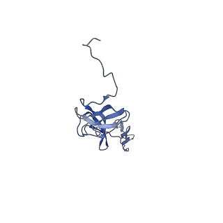 29383_8fqc_P1_v1-1
Structure of baseplate with receptor binding complex of Agrobacterium phage Milano