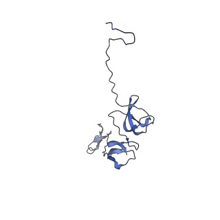 29383_8fqc_R1_v1-0
Structure of baseplate with receptor binding complex of Agrobacterium phage Milano