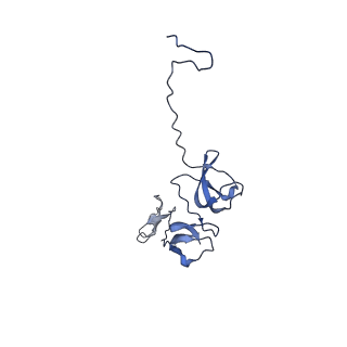 29383_8fqc_R1_v1-1
Structure of baseplate with receptor binding complex of Agrobacterium phage Milano