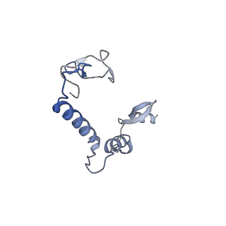 29383_8fqc_S1_v1-1
Structure of baseplate with receptor binding complex of Agrobacterium phage Milano