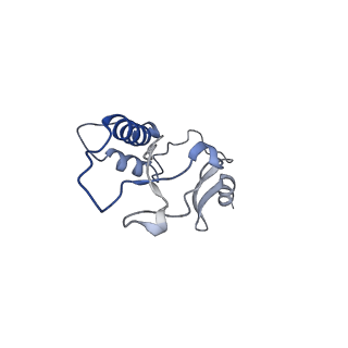 29383_8fqc_T1_v1-1
Structure of baseplate with receptor binding complex of Agrobacterium phage Milano