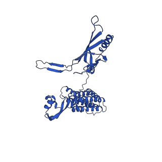 29383_8fqc_U1_v1-0
Structure of baseplate with receptor binding complex of Agrobacterium phage Milano