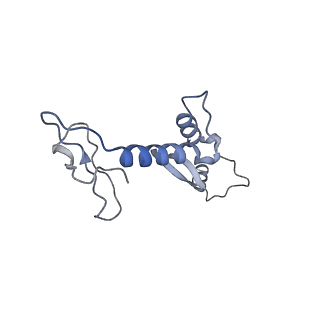 29383_8fqc_V1_v1-1
Structure of baseplate with receptor binding complex of Agrobacterium phage Milano