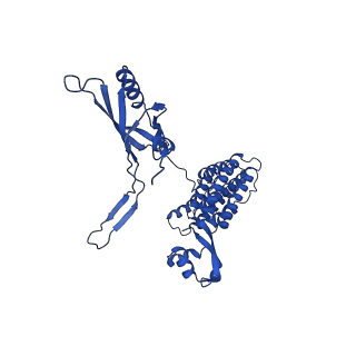 29383_8fqc_e1_v1-0
Structure of baseplate with receptor binding complex of Agrobacterium phage Milano