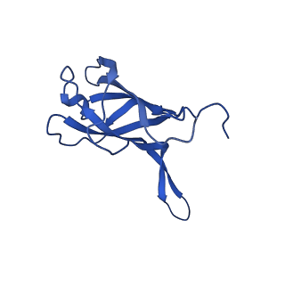 29383_8fqc_f1_v1-0
Structure of baseplate with receptor binding complex of Agrobacterium phage Milano