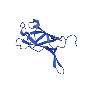 29383_8fqc_f1_v1-1
Structure of baseplate with receptor binding complex of Agrobacterium phage Milano