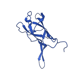 29383_8fqc_g1_v1-0
Structure of baseplate with receptor binding complex of Agrobacterium phage Milano