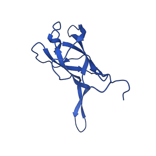 29383_8fqc_g1_v1-1
Structure of baseplate with receptor binding complex of Agrobacterium phage Milano