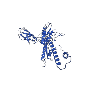 29383_8fqc_h1_v1-0
Structure of baseplate with receptor binding complex of Agrobacterium phage Milano