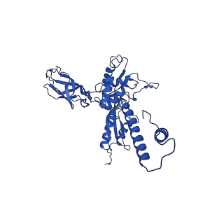 29383_8fqc_h1_v1-1
Structure of baseplate with receptor binding complex of Agrobacterium phage Milano