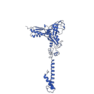 29383_8fqc_i1_v1-0
Structure of baseplate with receptor binding complex of Agrobacterium phage Milano