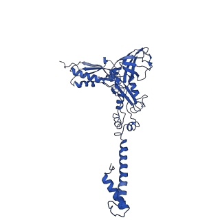 29383_8fqc_i1_v1-1
Structure of baseplate with receptor binding complex of Agrobacterium phage Milano