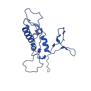 29383_8fqc_j1_v1-0
Structure of baseplate with receptor binding complex of Agrobacterium phage Milano