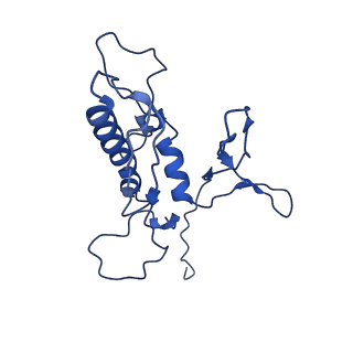 29383_8fqc_j1_v1-1
Structure of baseplate with receptor binding complex of Agrobacterium phage Milano