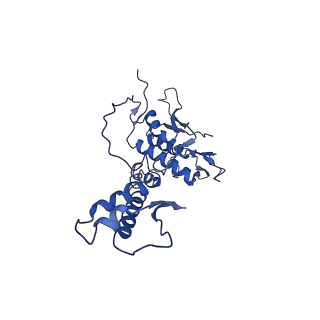 29383_8fqc_l1_v1-1
Structure of baseplate with receptor binding complex of Agrobacterium phage Milano